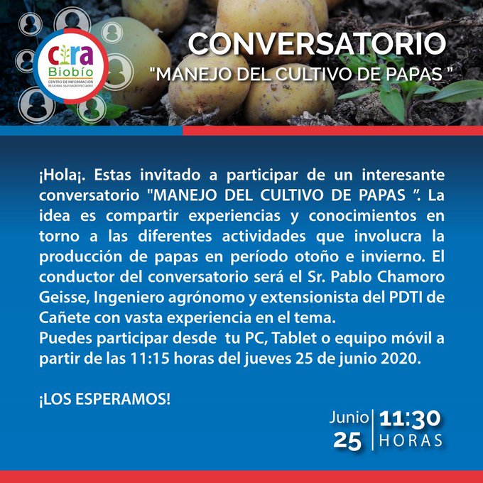 Conversatorio CIRA Biobío: «Manejo del cultivo de papas”