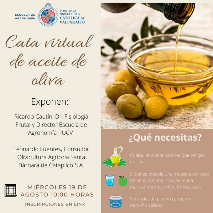 Webinar PUCV | Cata virtual de aceite de oliva