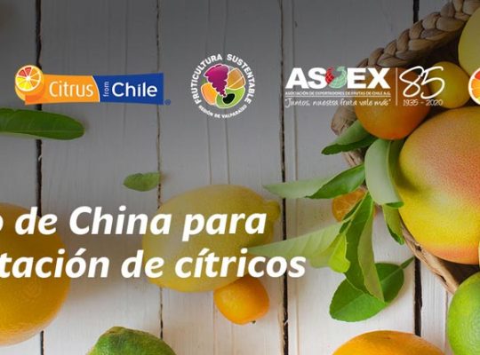 Taller Mercado de China para los Cítricos Chilenos