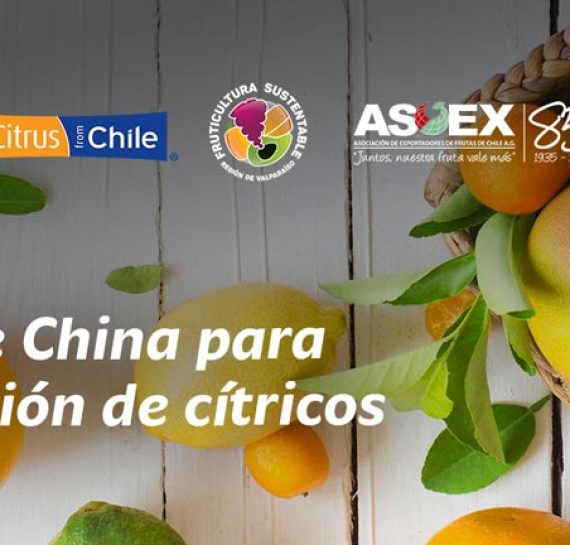 Taller Mercado de China para los Cítricos Chilenos